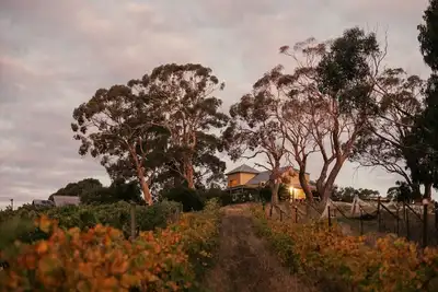 Image de Big Vine House on Zig Zag Winery