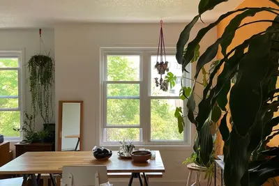 Image de Brooklyn Bungalow