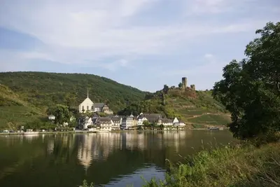 Image de The Studio Apartment Dornfelder Beilsteiner - Apartments Mosel