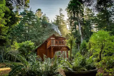 Image de Unique retreat surrounded by redwoods - outdoor tub & wood stove, dog-friendly