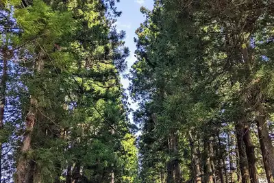 Image de 5 minutes by car from Tobu Nikko Station.