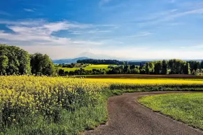 Image de Mile High City Travels at our Downtown Denver Room!