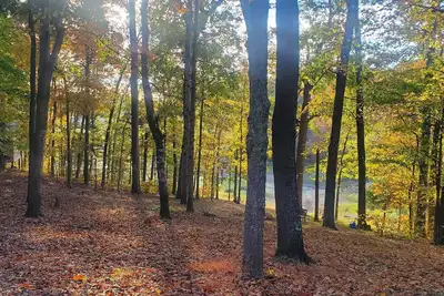 Image de 3-bedroom lakefront home on beautiful Douglas Lake. Close to Dollywood.