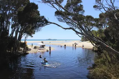 Image de Ocean views! Walk across road to beach! Relaxing beach house flooded with light!