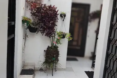 Image de Cómodo Departamento Para. Y Disfrutar en Familia sus Vacaciones