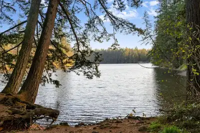 Image de Lake View House with Beautiful 4. 5 Acres to Explore