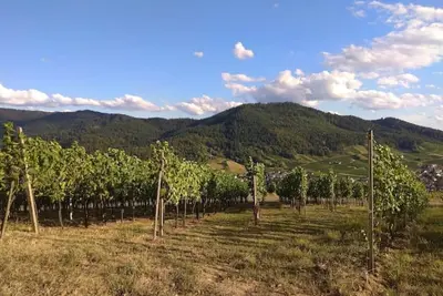 Image de Vacation apartment near Baden-Baden