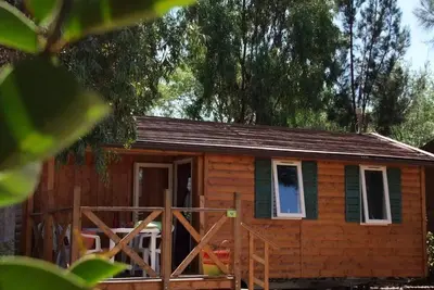 Image de Mobil-Home Georgia Confort 3 Pièces 4 Personnes Climatisé + Tv