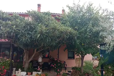 Image de Appartement de deux chambres avec le balcon Rovinj (A-21996-a)