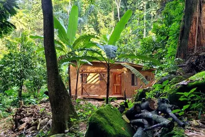 Image de Ecoscape Tulia - Private Nature Escape -  1 Bedroom, 30 minutes to Ocho Rios