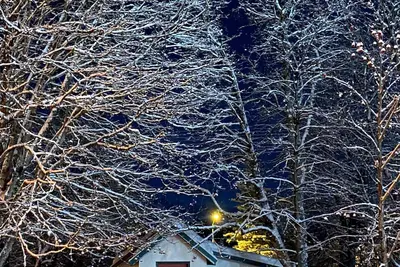 Cozy Seward Cottage: Amazing Location in the middle of town. Pet-Friendly!