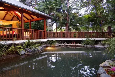 Image de A Tropical Treat @ Sea Level | Port Douglas