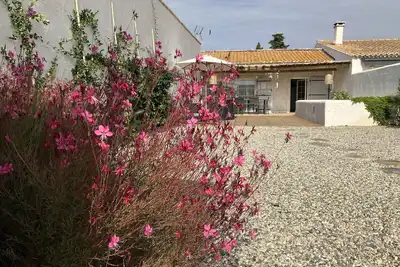 Image de Maison en Camargue à 5 km des Saintes Maries de la Mer avec bassin d'agrément