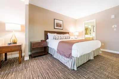 Image de Dual Suites: Ample Space, King Beds, Jacuzzi, Pool