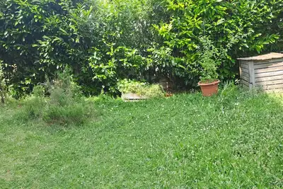 Image de Chambre double dans appartement 2 pièces 45m2 en rez de jardin
