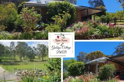 Image de Beautifully renovated country cottage located near Mclaren Vale's best wineries