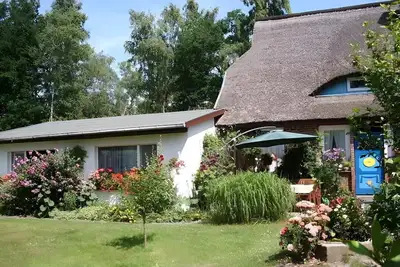 Image de Ruhige, Kleine, Haustierfreundliche Ferienwohnung in Direkter Strandnähe