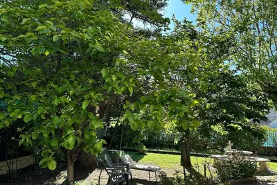 Image de Maison au calme dans le charmant village d’Uzès: pétanque, piscine, Pont du Gard