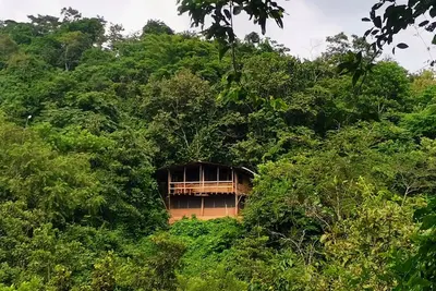 Image de Cabaña Guarumbo - Connection with Nature