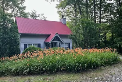 Image de Lily cabin is all about peace and gentle access