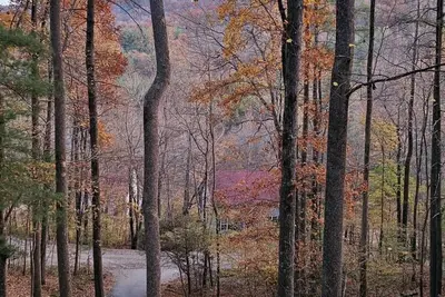 Image de Dogwood Nestled atop the pristine mountain canopy