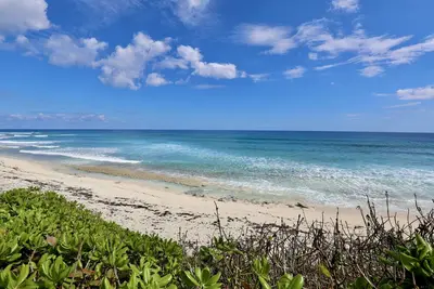 Image de Conch Quest - Renovated New Generator\nRIGHT On The Beach Beautiful Location