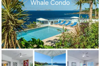 Whale Oceanfront Villa with Pool & Hot Tub! Usvi