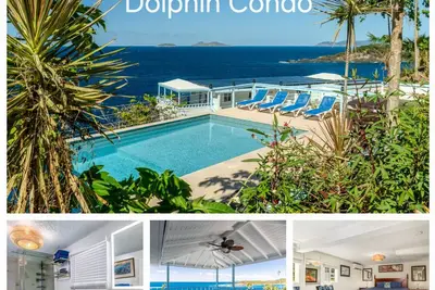 Image de Dolphin Oceanfront Villa with Pool & Hot Tub! Usvi