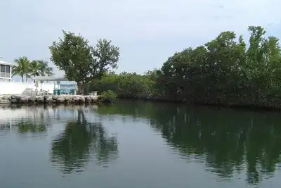 Image de 2/2 Oceanside house within walking distance to Pennekamp state park