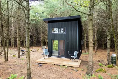 Image de Little Cabin in the Pines