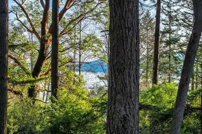 Image de Cozy cabin in the woods, minutes from town, beaches, hiking