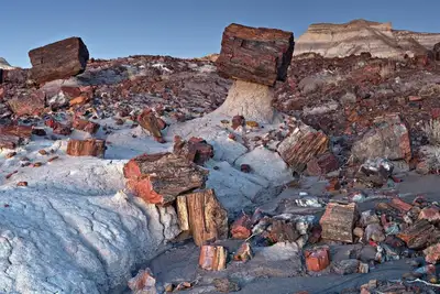Image de Petrified National Forest\/Meteor Crater near Holbrook, Az