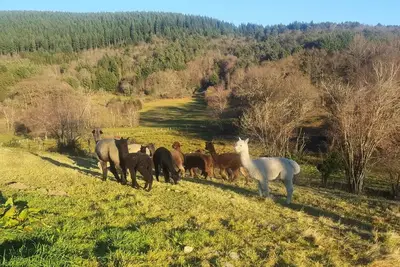 Image de Gîte de France 6 personnes