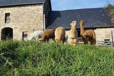 Image de Gîte de France 12 personnes