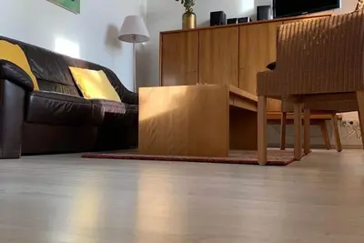 Image de Appartement à Borstendorf près de forêt & rivière