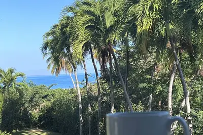 Turquesa del Mar, private tropical oasis just steps to beach and town center!