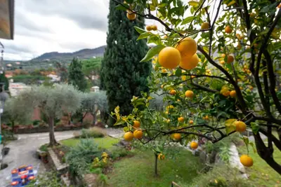 Image de Appartamento in giardino, soggiorno minimo 5 notti