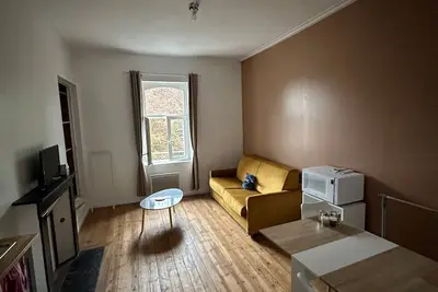 Image de Studio Entièrement Meublé et Équipé de 26 m2