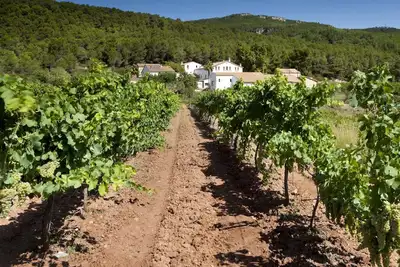 Image de Finca Can Romeu: Alojamiento Rural Entre Viñedos