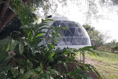 Image de Vida Aventura Glamping Deluxe Dome