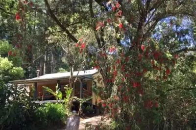 Image de Sweetwater Cottage. A mountain escape. Near the Rail trail for bikes.