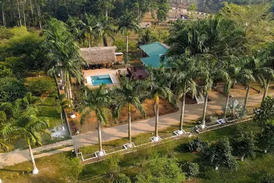 Image de Luxe dans la jungle près de péninsule de Placencia - Paradis des ornithologues