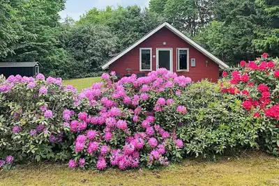 Image de Maison de vacances pour 6 a Toftlund