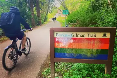 Image de Lots of greenery and fruit