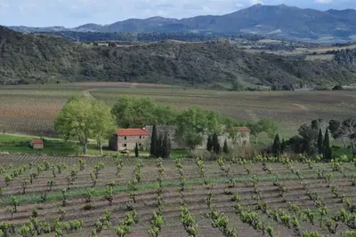 Image de Mas viticola catalan