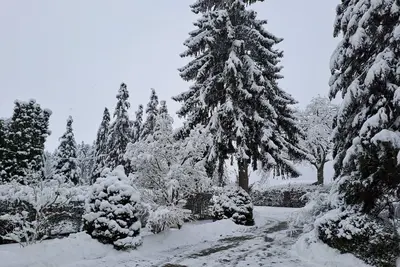 Image de Ferienwohnung in Schramberg-sulgen am Rande des Schwarzwaldes