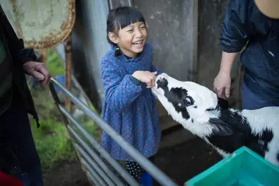 Image de Bellevue Farmstay - feed animals, ride tractors, near The 12 Apostles