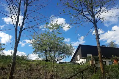 Image de Appartement de vacances 'Sauerland Alm Winterberg' avec piscine privée, terrasse privée et Wi-Fi