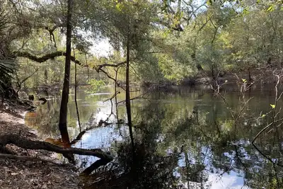 Image de Cozy river front retreat on beautiful Withlacoochee River. Near theme parks.