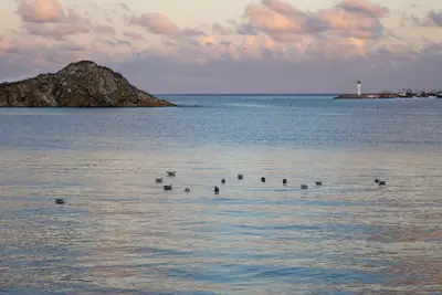 Image de 537 - Studio les pieds dans l'eau, face à la plage